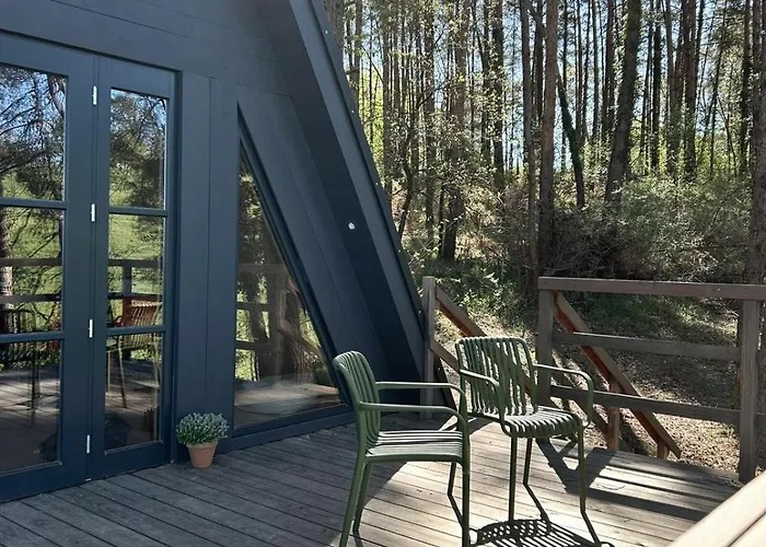 Racine Saint-Leon-sur-Vezere